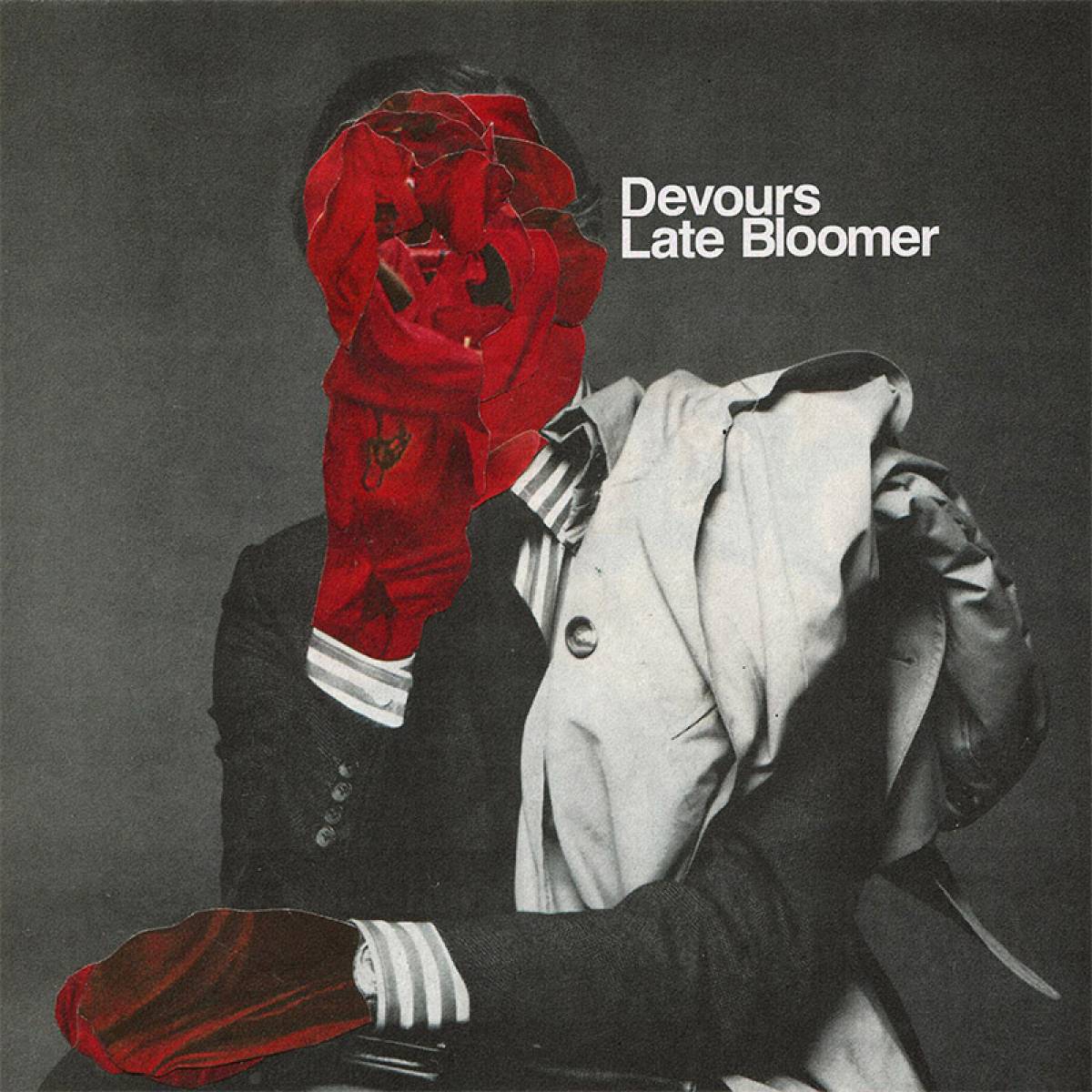 devours-late-bloomer